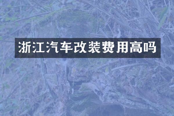 浙江汽车改装费用高吗