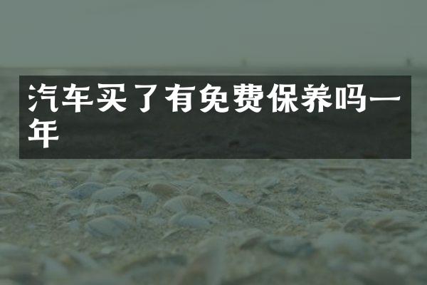 汽车买了有免费保养吗一年