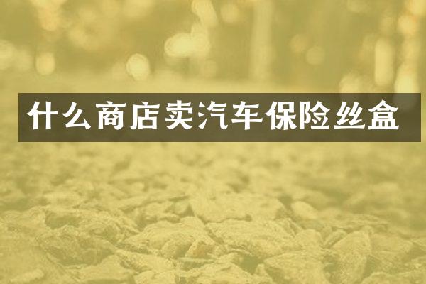 什么商店卖汽车保险丝盒