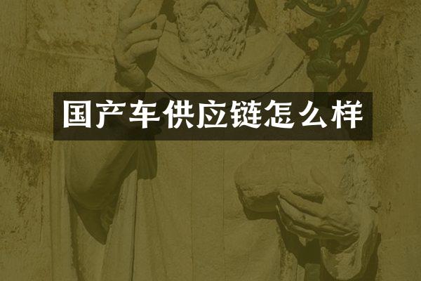 国产车供应链怎么样