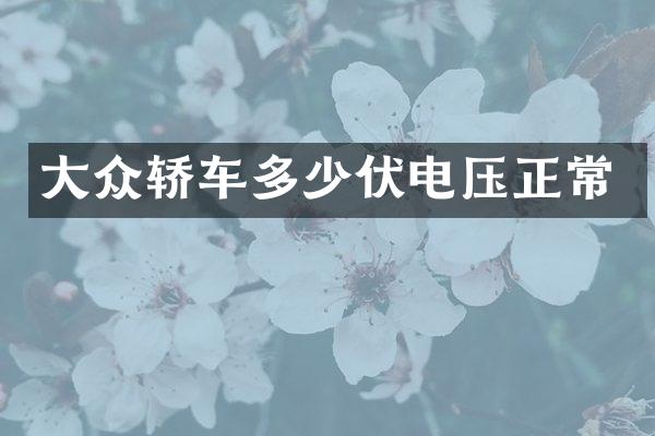 大众轿车多少伏电压正常