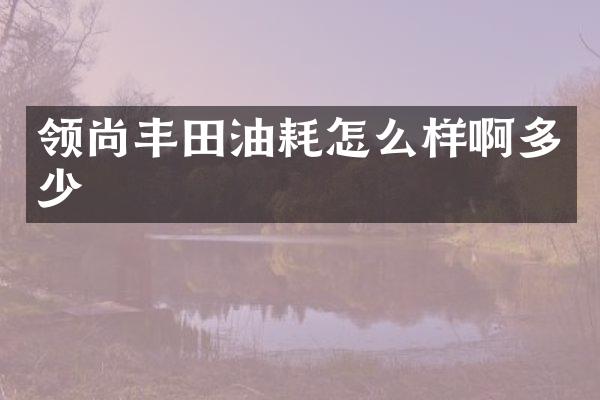 领尚丰田油耗怎么样啊多少