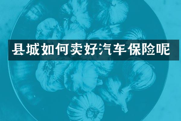 县城如何卖好汽车保险呢