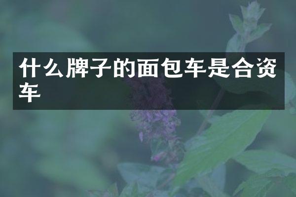 什么牌子的面包车是合资车