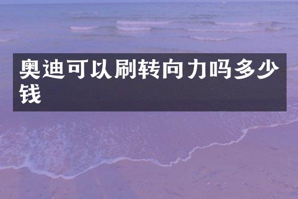奥迪可以刷转向力吗多少钱
