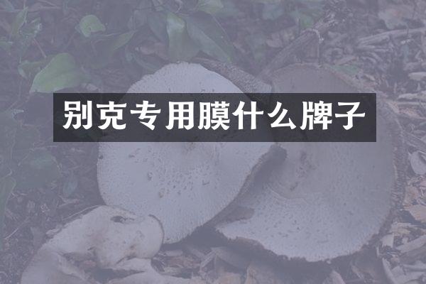 别克专用膜什么牌子