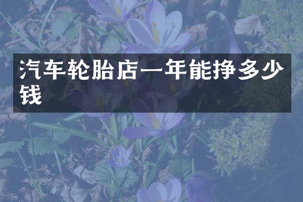 汽车轮胎店一年能挣多少钱