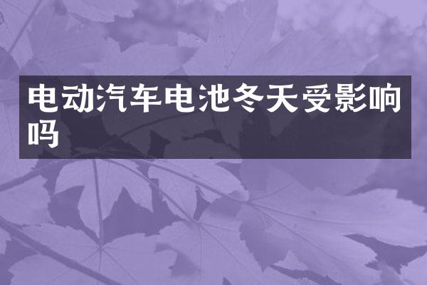 电动汽车电池冬天受影响吗