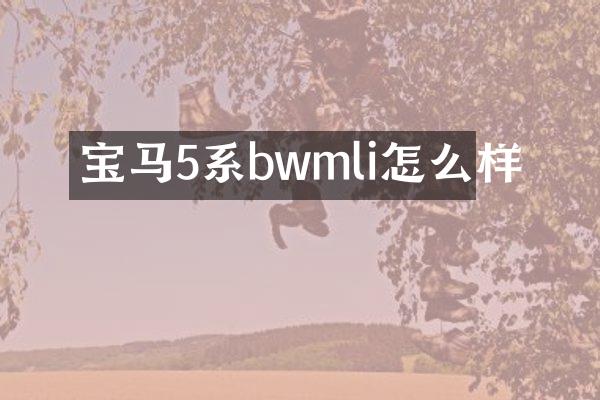 宝马5系bwmli怎么样