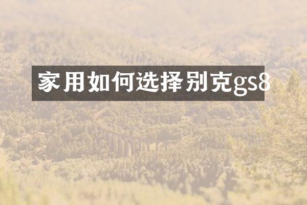 家用如何选择别克gs8