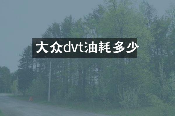 大众dvt油耗多少