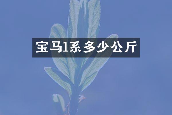 宝马1系多少公斤