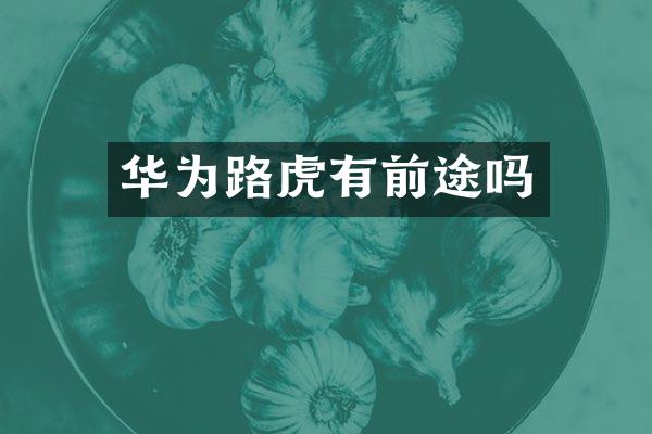 华为路虎有前途吗