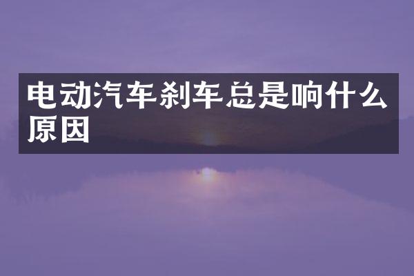 电动汽车刹车总是响什么原因
