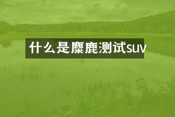 什么是麋鹿测试suv