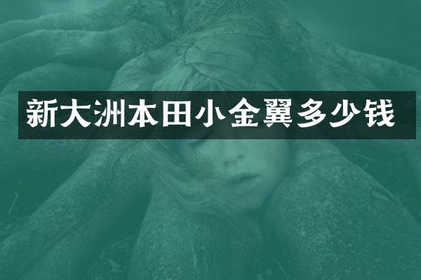 新大洲本田小金翼多少钱
