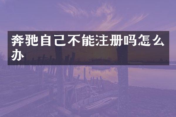 奔驰自己不能注册吗怎么办