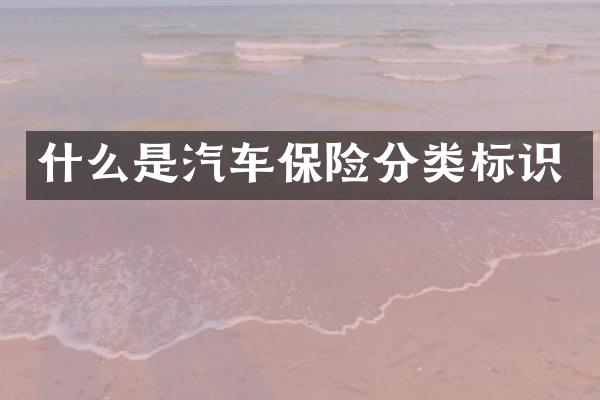 什么是汽车保险分类标识
