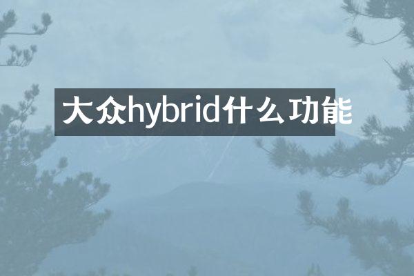 大众hybrid什么功能