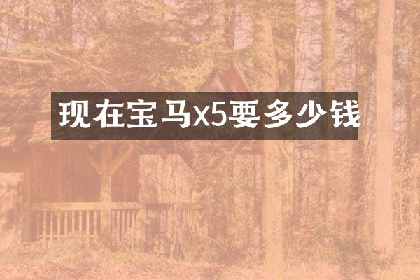现在宝马x5要多少钱