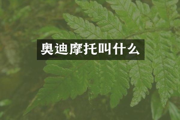 奥迪摩托叫什么