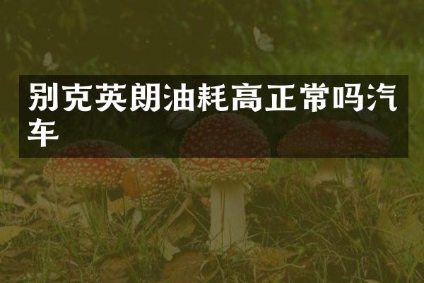 别克英朗油耗高正常吗汽车