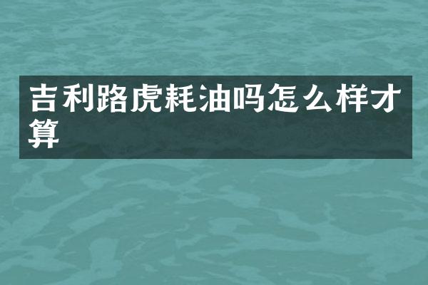 吉利路虎耗油吗怎么样才算