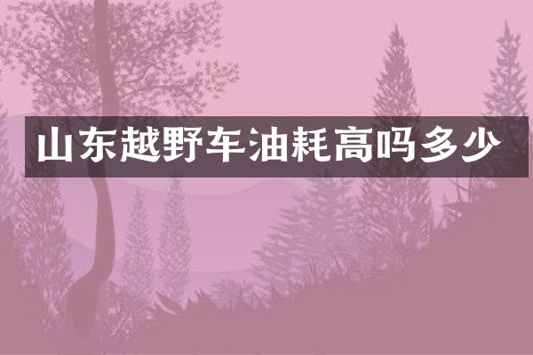 山东越野车油耗高吗多少
