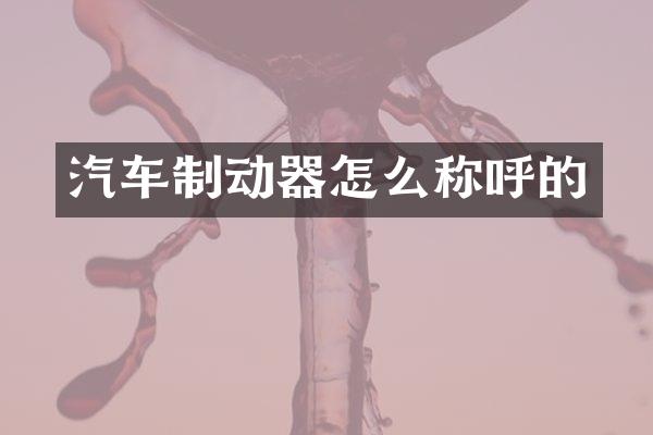 汽车制动器怎么称呼的