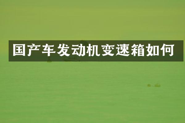 国产车发动机变速箱如何