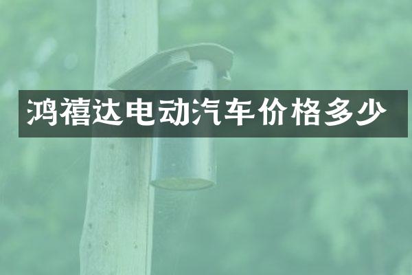 鸿禧达电动汽车价格多少