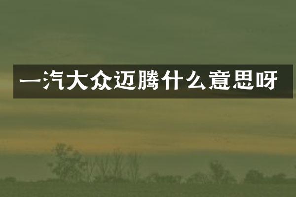 一汽大众迈腾什么意思呀