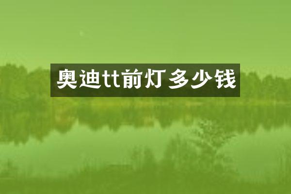 奥迪tt前灯多少钱