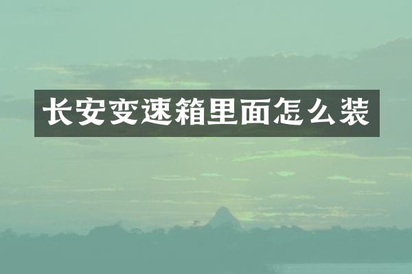 长安变速箱里面怎么装