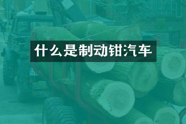 什么是制动钳汽车