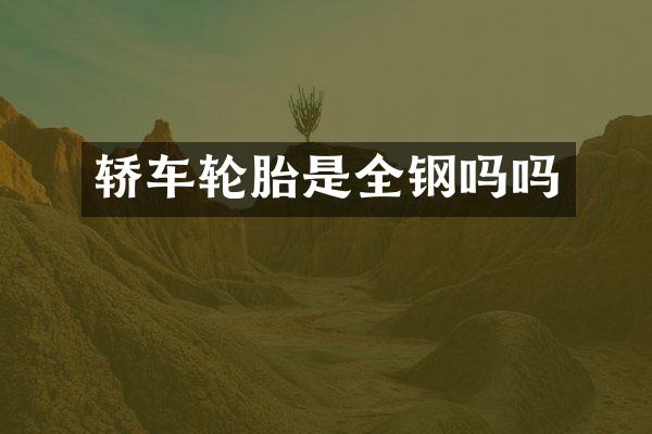 轿车轮胎是全钢吗吗