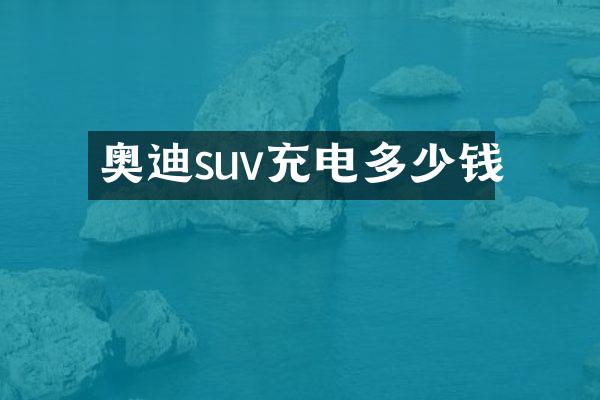 奥迪suv充电多少钱
