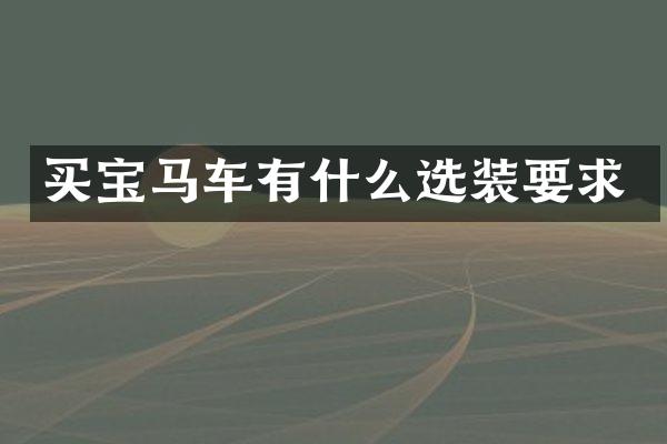 买宝马车有什么选装要求