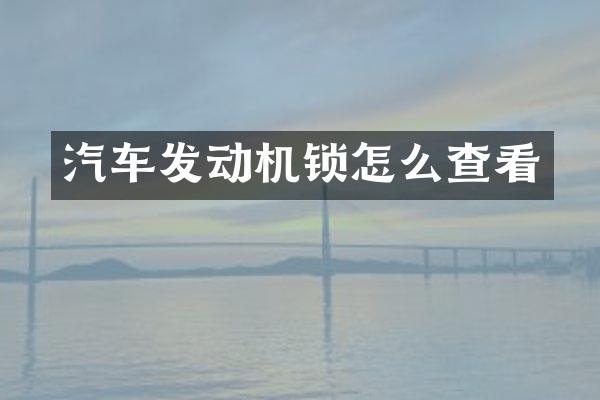 汽车发动机锁怎么查看
