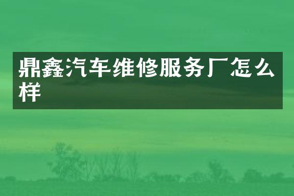 鼎鑫汽车维修服务厂怎么样