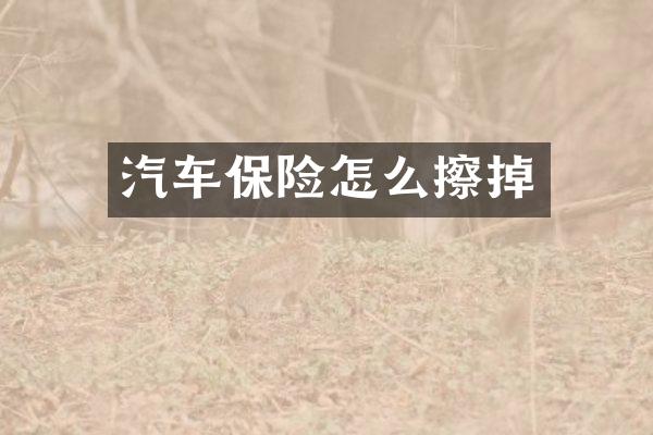 汽车保险怎么擦掉