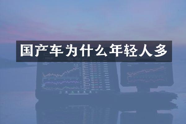 国产车为什么年轻人多