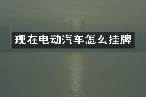 现在电动汽车怎么挂牌