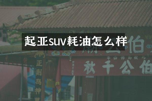 起亚suv耗油怎么样