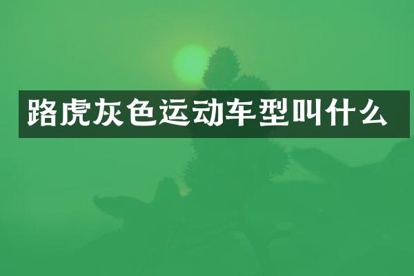 路虎灰色运动车型叫什么