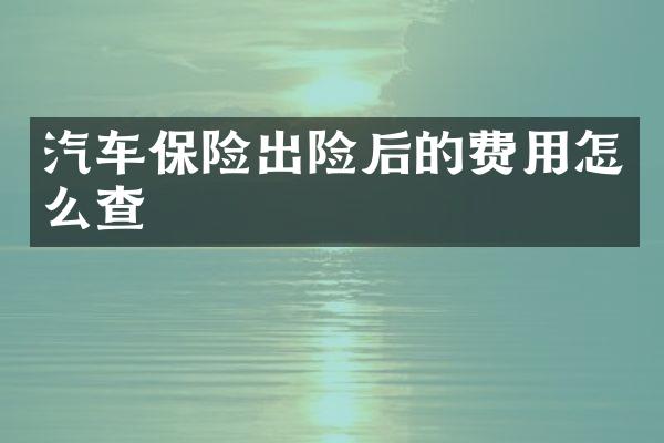 汽车保险出险后的费用怎么查
