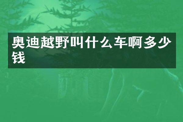 奥迪越野叫什么车啊多少钱