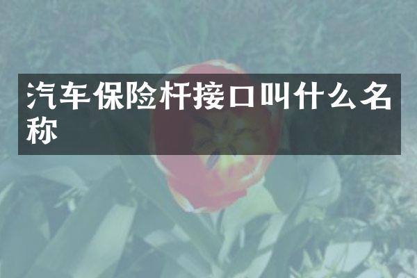 汽车保险杆接口叫什么名称