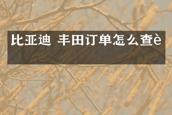 比亚迪 丰田订单怎么查询