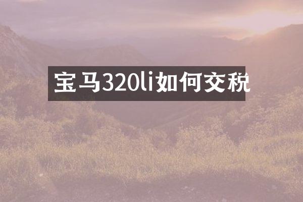 宝马320li如何交税